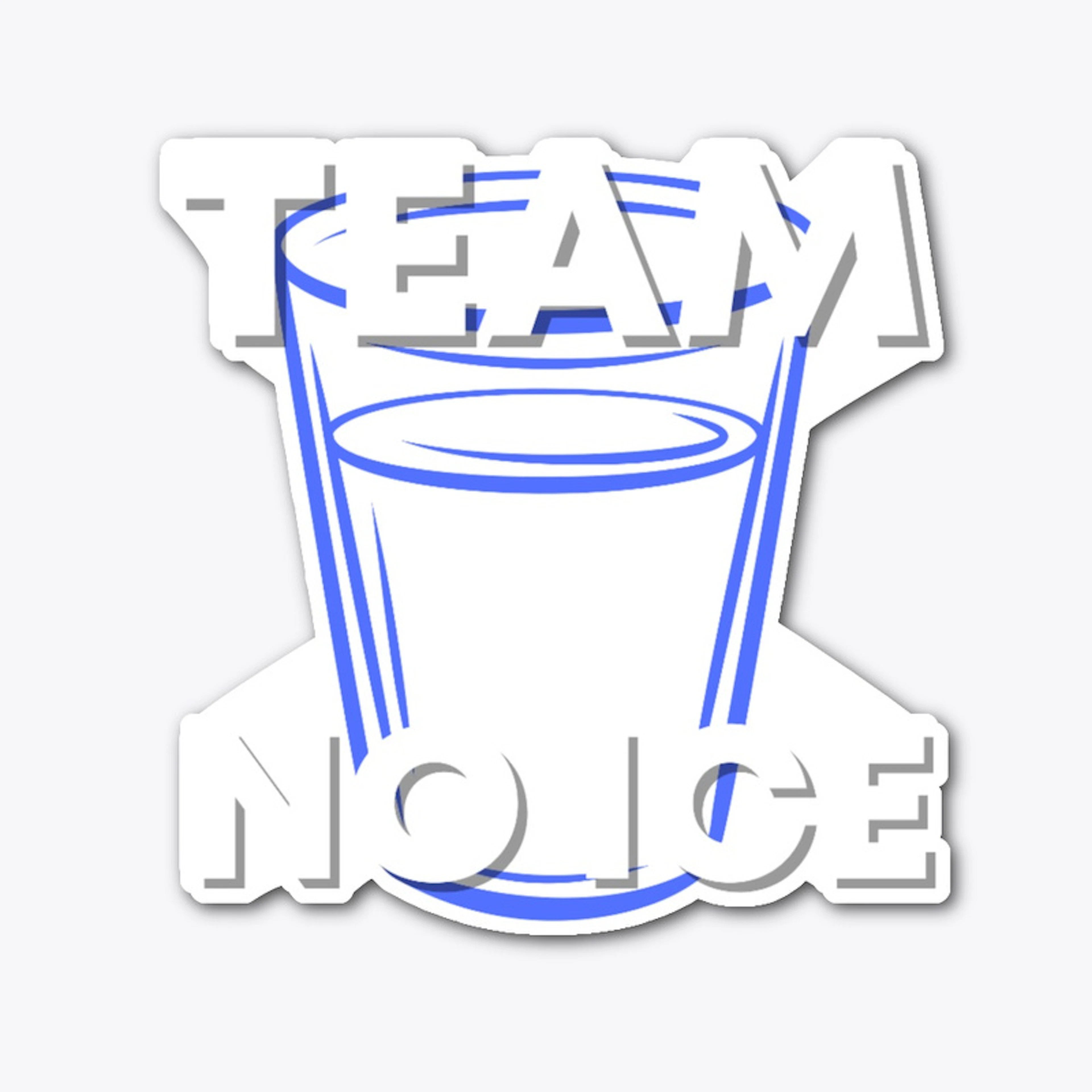 Team No Ice Water Bottle
